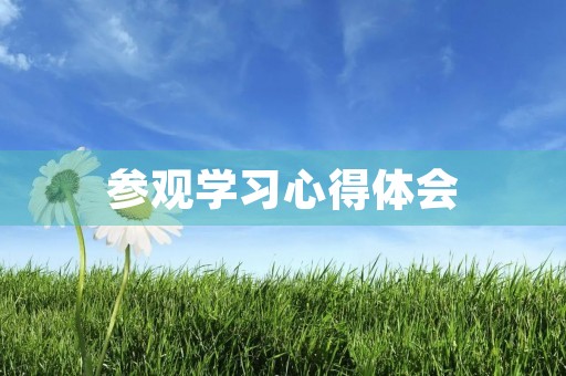 参观学习心得体会
