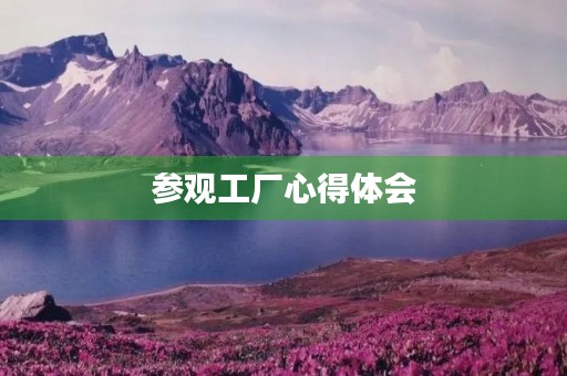参观工厂心得体会