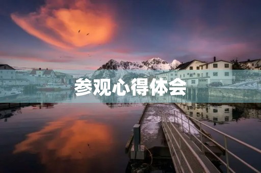 参观心得体会