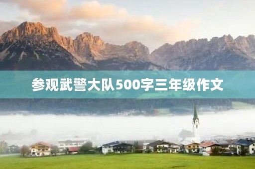 参观武警大队500字三年级作文 参观武警大队500字三年级作文