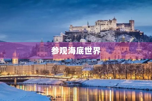 参观海底世界 参观海底世界
