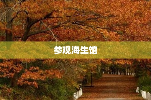 参观海生馆 参观海生馆