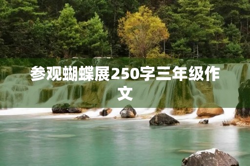 参观蝴蝶展250字三年级作文 参观蝴蝶展250字三年级作文