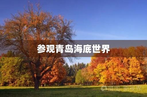 参观青岛海底世界 参观青岛海底世界