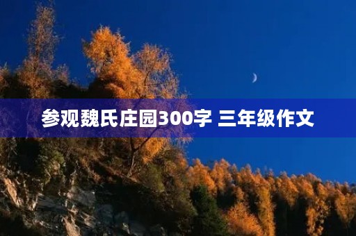 参观魏氏庄园300字 三年级作文