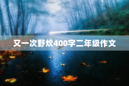 又一次野炊400字二年级作文