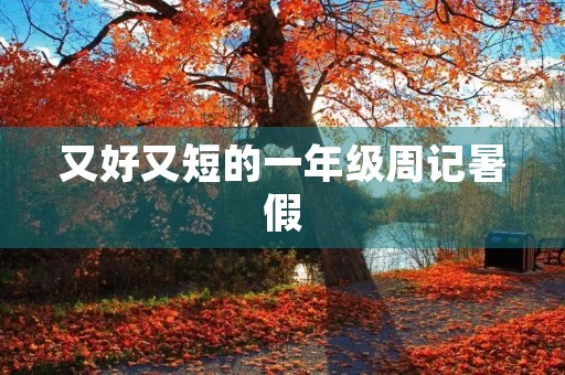 又好又短的一年级周记暑假 又好又短的一年级周记暑假