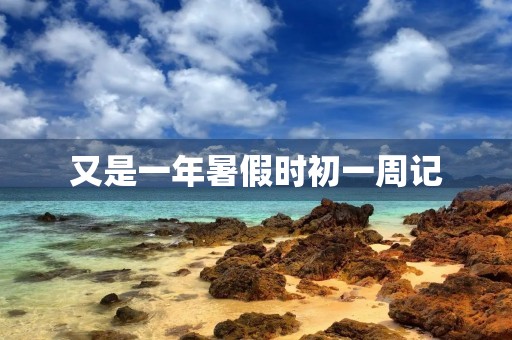 又是一年暑假时初一周记 又是一年暑假时初一周记