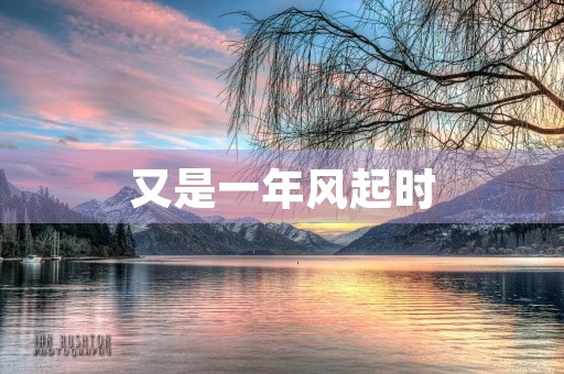 又是一年风起时 又是一年风起时