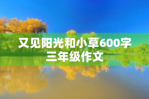 又见阳光和小草600字三年级作文