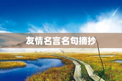 友情名言名句摘抄(友情名言名句摘抄简短)