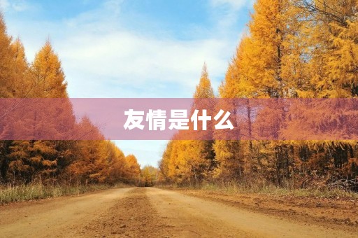 友情是什么