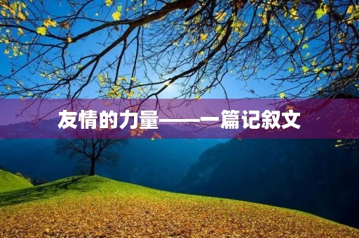 友情的力量——一篇记叙文 友情的力量——一篇记叙文