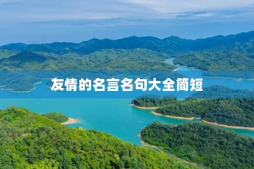 友情的名言名句大全简短,友情的名言名句大全简短一年级 友情的名言名句大全简短,友情的名言名句大全简短一年级