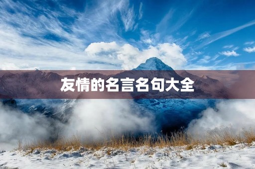 友情的名言名句大全，友情的名言名句大全短句
