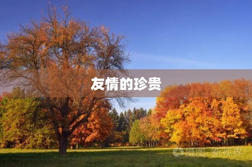 友情的珍贵