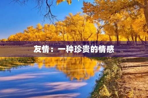 友情：一种珍贵的情感