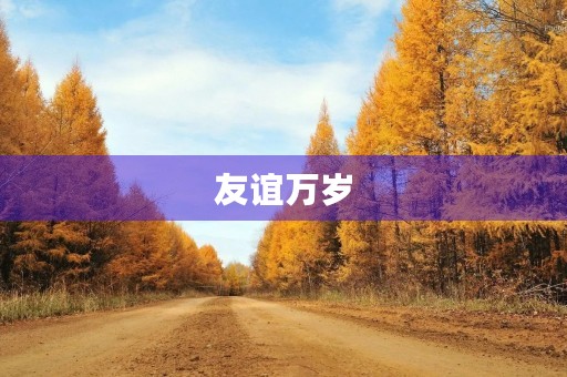 友谊万岁 友谊万岁