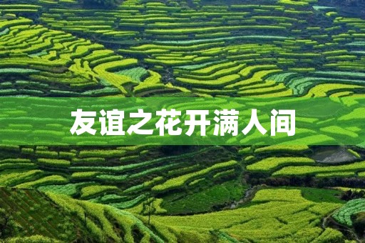友谊之花开满人间