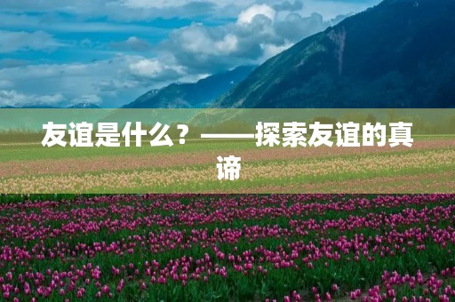 友谊是什么?——探索友谊的真谛 友谊是什么?——探索友谊的真谛