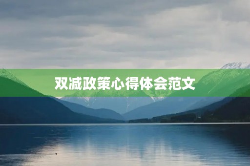 双减政策心得体会范文