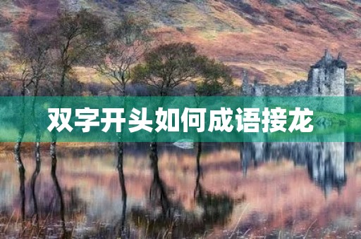 双字开头如何成语接龙 双字开头如何成语接龙