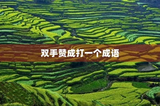 双手赞成打一个成语 双手赞成打一个成语
