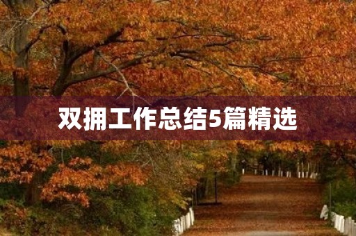 双拥工作总结5篇精选