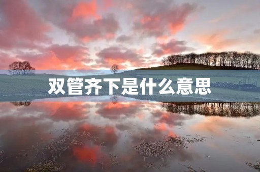 双管齐下是什么意思 双管齐下是什么意思