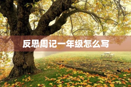 反思周记一年级怎么写 反思周记一年级怎么写
