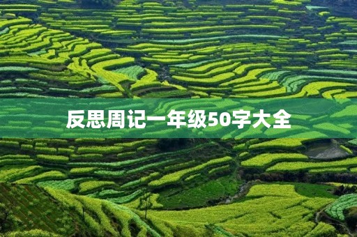 反思周记一年级50字大全