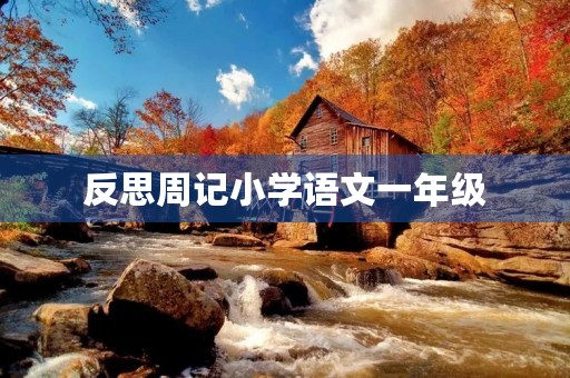 反思周记小学语文一年级