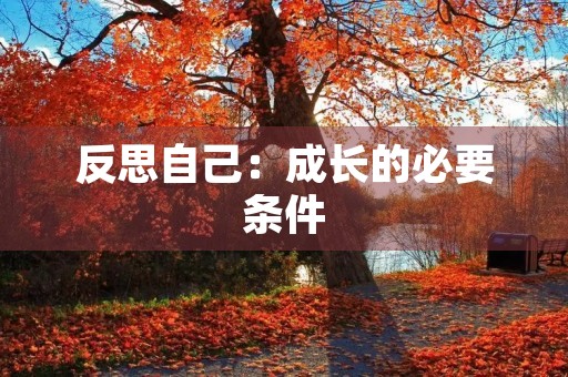 反思自己：成长的必要条件