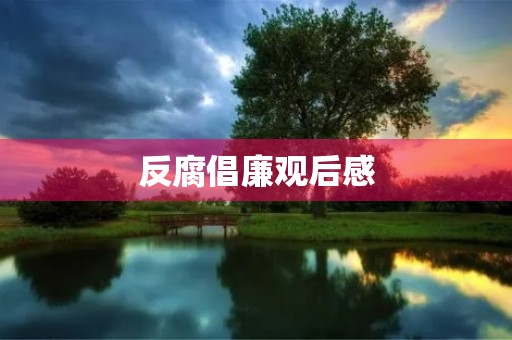 反腐倡廉观后感