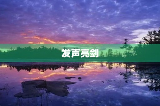 发声亮剑,表态发言稿 发声亮剑,表态发言稿