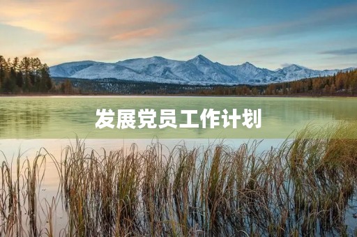 发展党员工作计划 发展党员工作计划