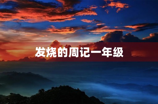 发烧的周记一年级
