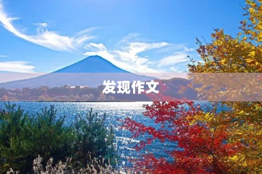 发现作文 发现作文