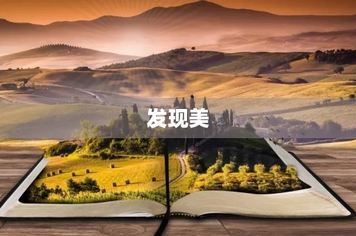 发现美，我们的生活更加精彩
