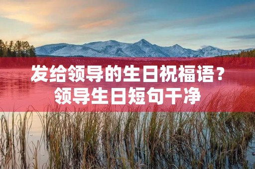 发给领导的生日祝福语?领导生日短句干净