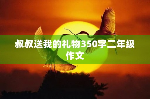 叔叔送我的礼物350字二年级作文 叔叔送我的礼物350字二年级作文