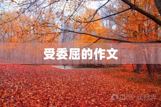 受委屈的作文