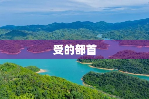 受的部首(受的部首) 受的部首(受的部首)