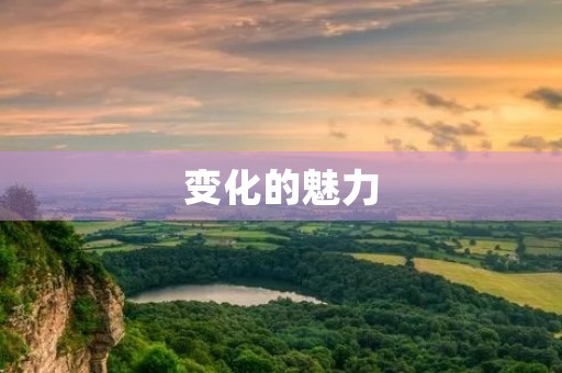 变化的魅力