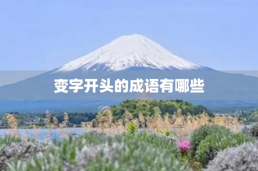 变字开头的成语有哪些