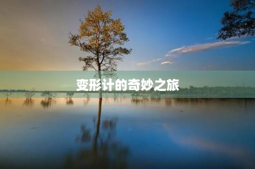 变形计的奇妙之旅 变形计的奇妙之旅