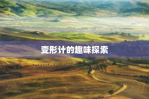 变形计的趣味探索