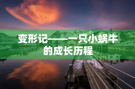 变形记——一只小蜗牛的成长历程