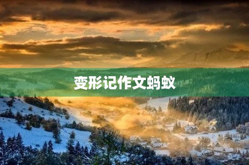变形记作文蚂蚁