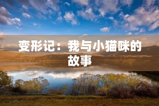 变形记：我与小猫咪的故事